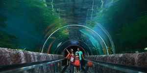 Sri Lankan Underwater Tunnel